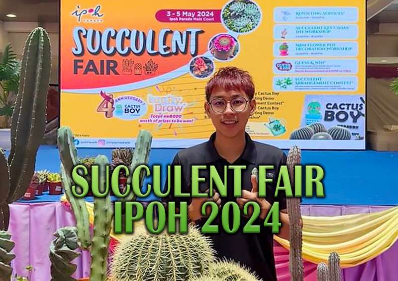 Succulent Fair at Ipoh